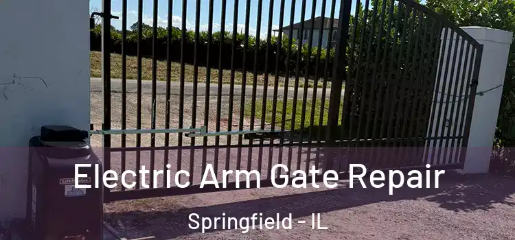 Electric Arm Gate Repair Springfield - IL