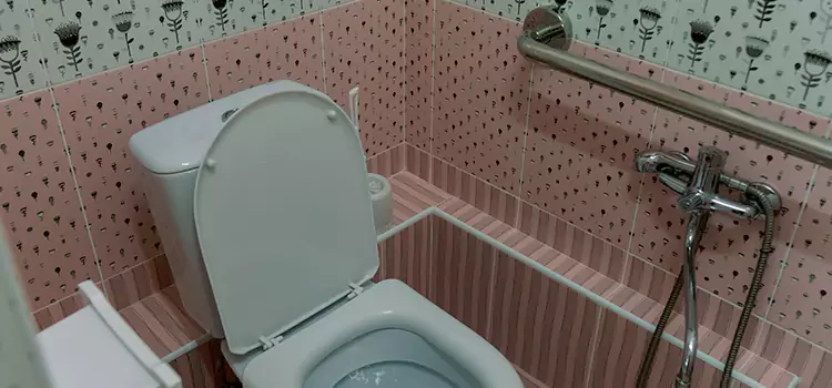 Meeting Diverse Needs With Accessible Restroom Solutions in Springfield, IL